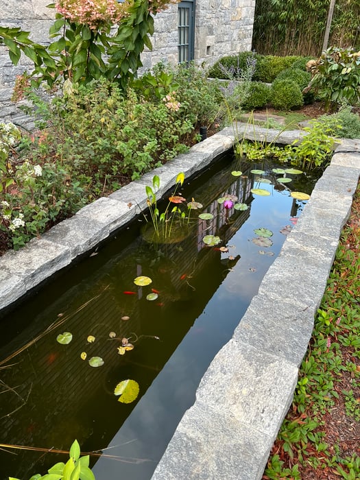 61 Hartford Avenue Photo 38