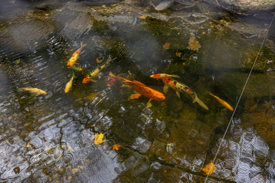 7 Hill Top Road Photo 35