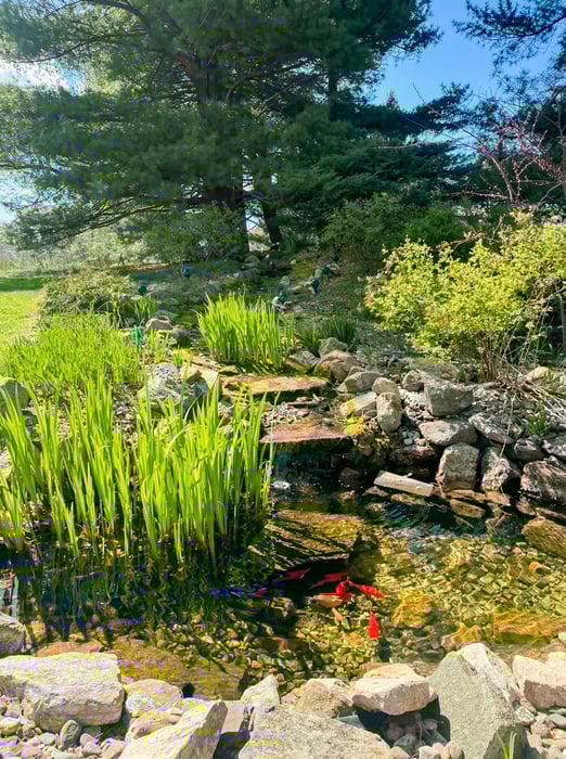 773 Ridgebury Road Photo 37