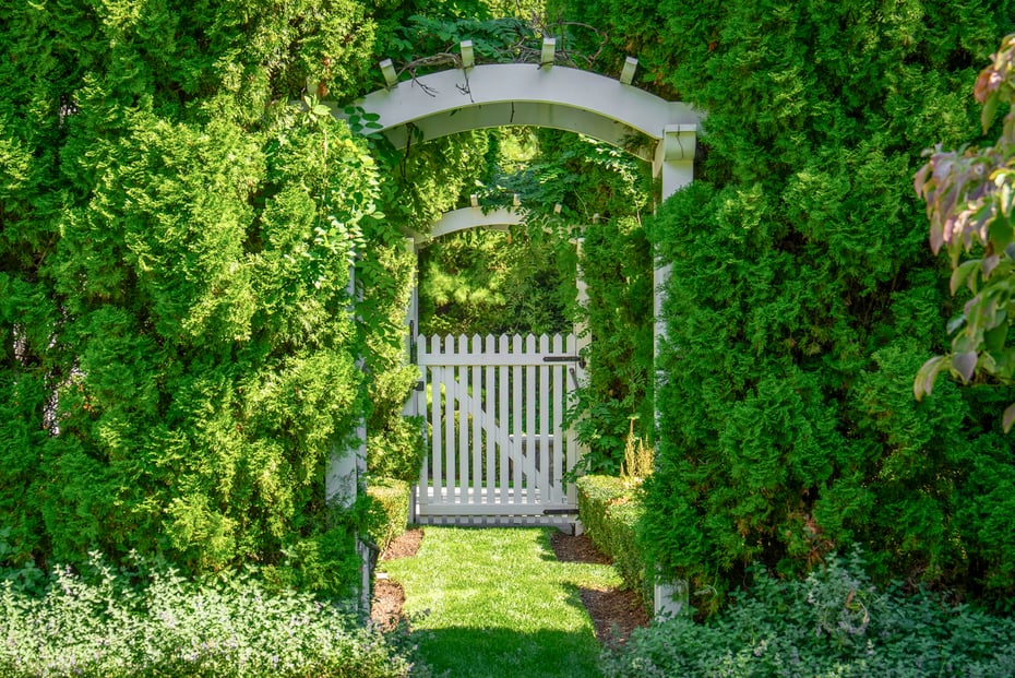 143 Oenoke Ridge Photo 32