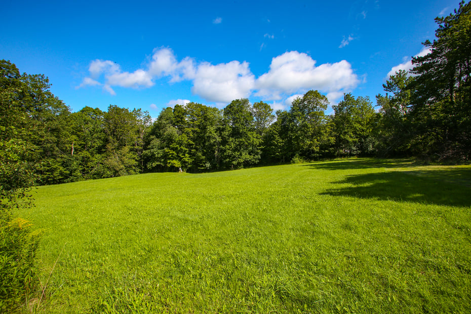 14 South Rd Photo 29