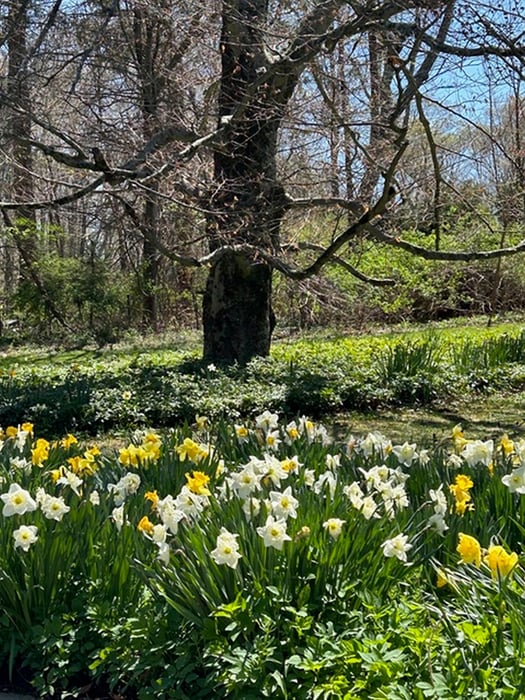 49 South Street Photo 4