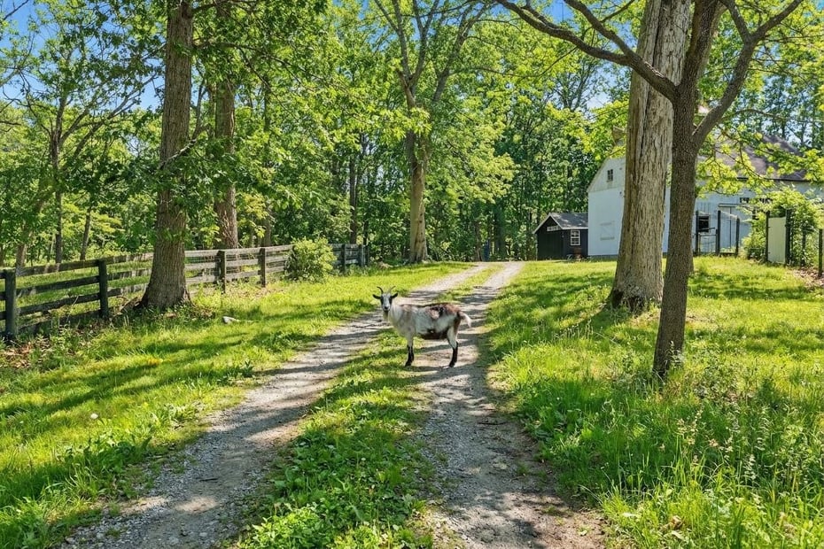 17 Colonial Drive Photo 39