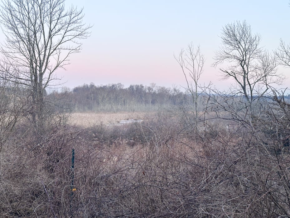 Millerton Road Photo 4