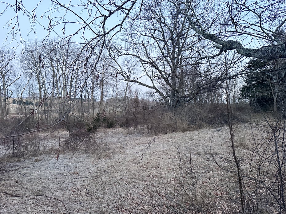 Millerton Road Photo 5