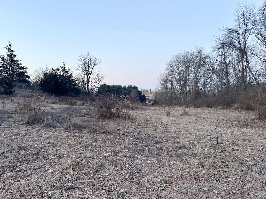 Millerton Road Photo 9