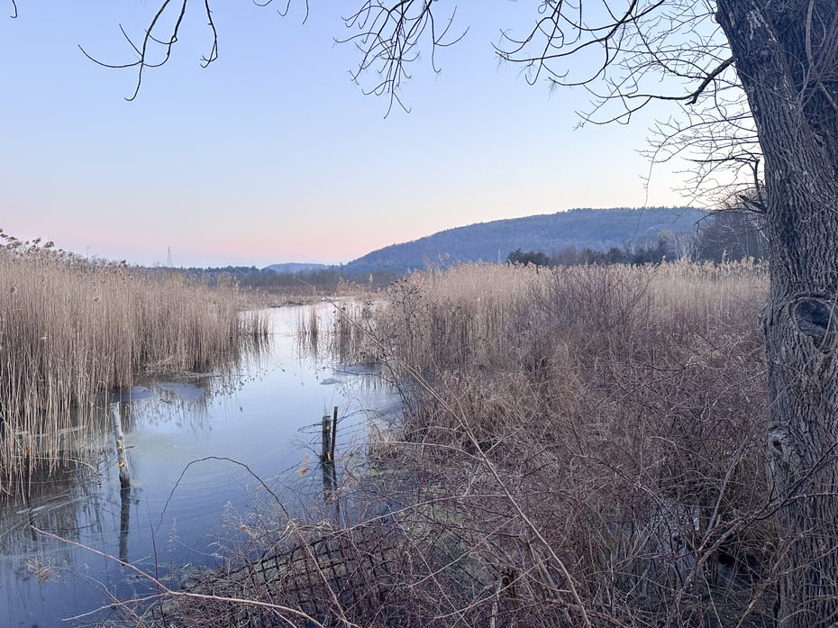 Millerton Road Photo 10