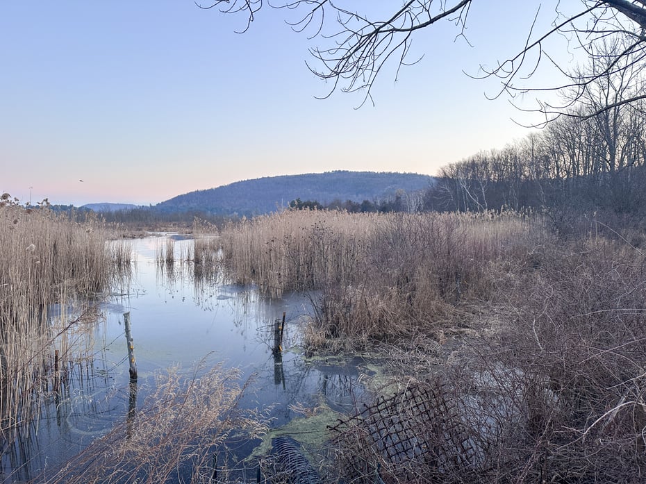 Millerton Road Photo 11