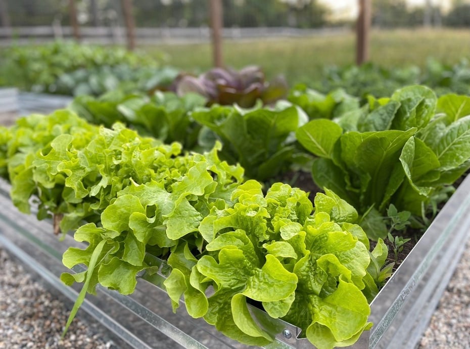 12 Jackson Road Photo 38