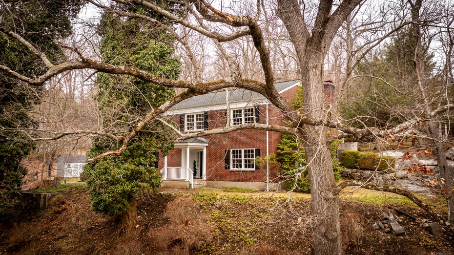 15 Stephenson Terrace Photo 5