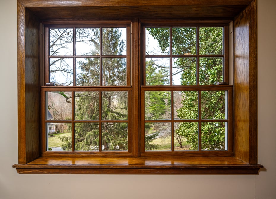 15 Stephenson Terrace Photo 10