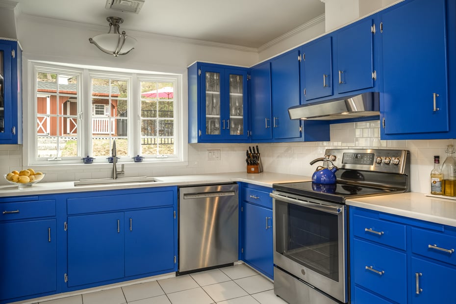 15 Stephenson Terrace Photo 16