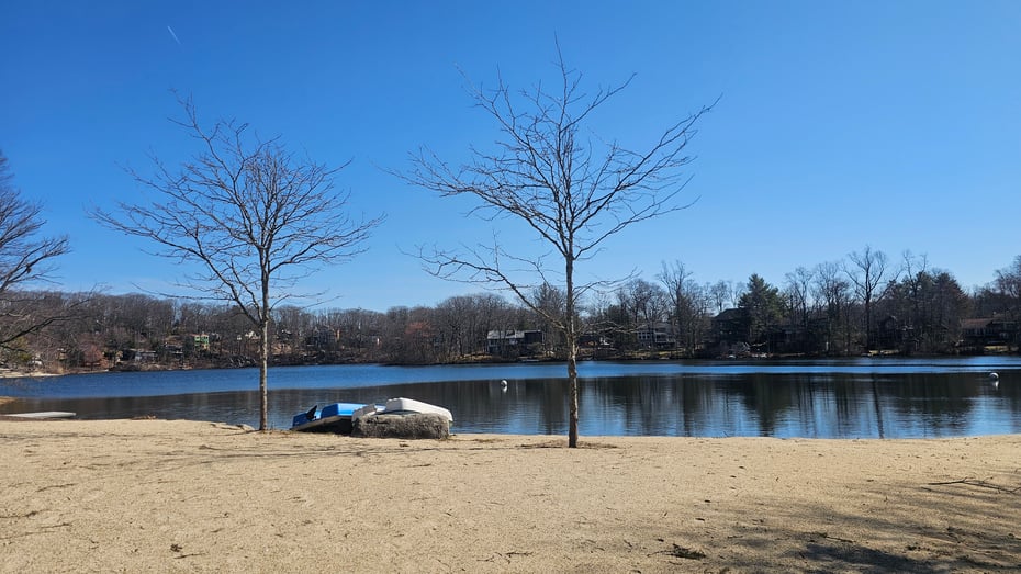 29 Carol Street Photo 34