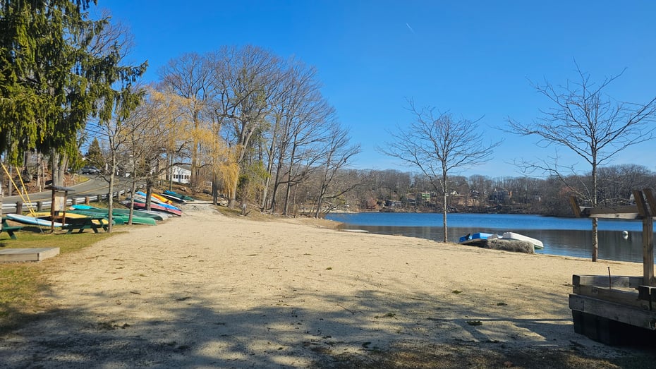 29 Carol Street Photo 35