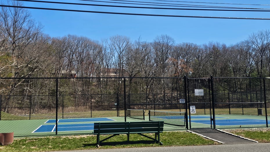 29 Carol Street Photo 36