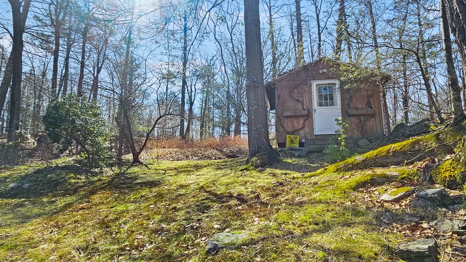 29 Carol Street Photo 29