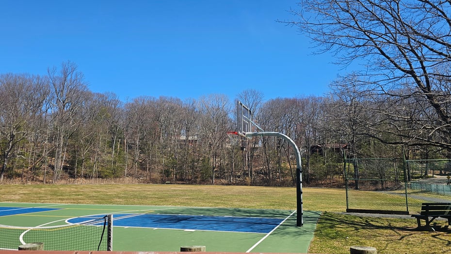 29 Carol Street Photo 39