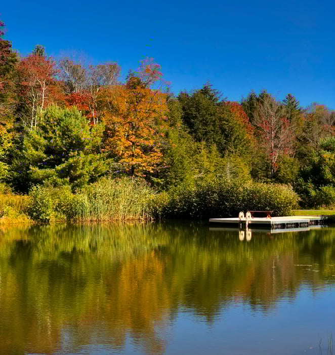 66 Access Rd Photo 52