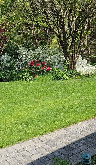 1800 Moose Hill Road Photo 5