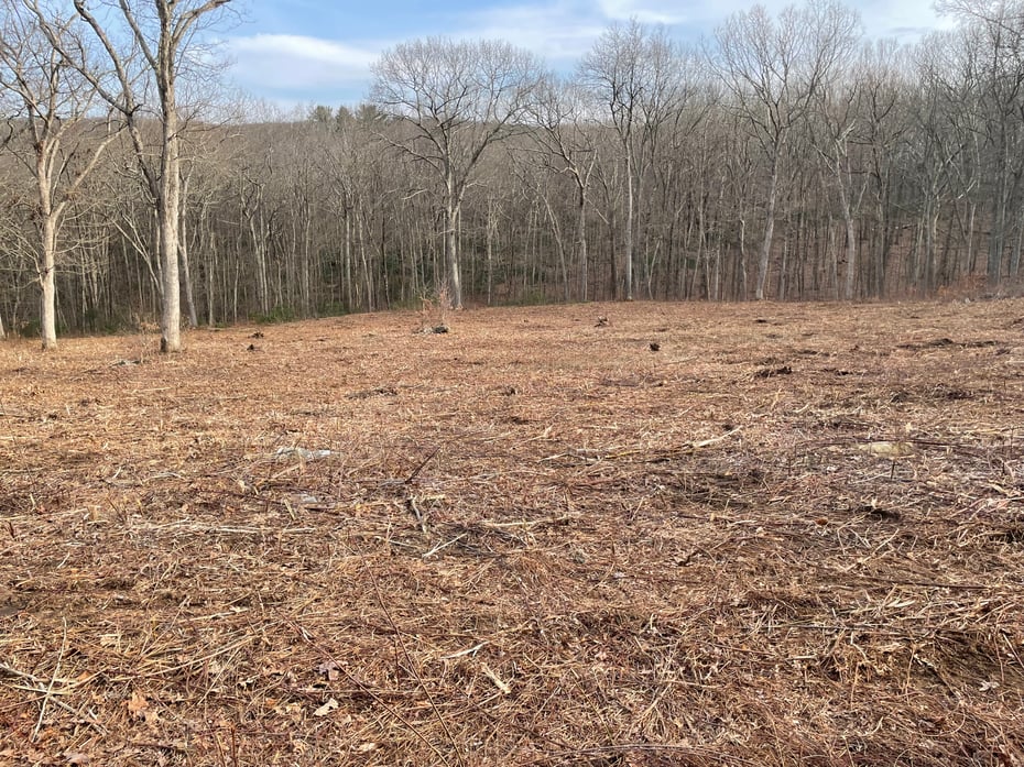 197 Tinker Hill Road Photo 2