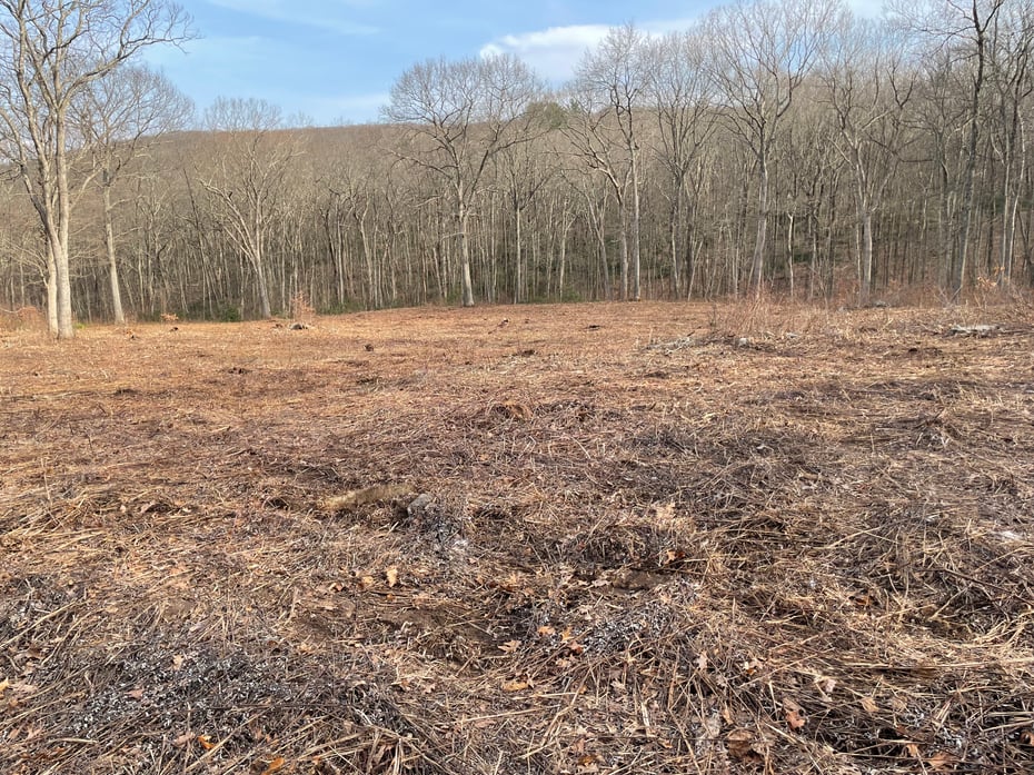 197 Tinker Hill Road Photo 16