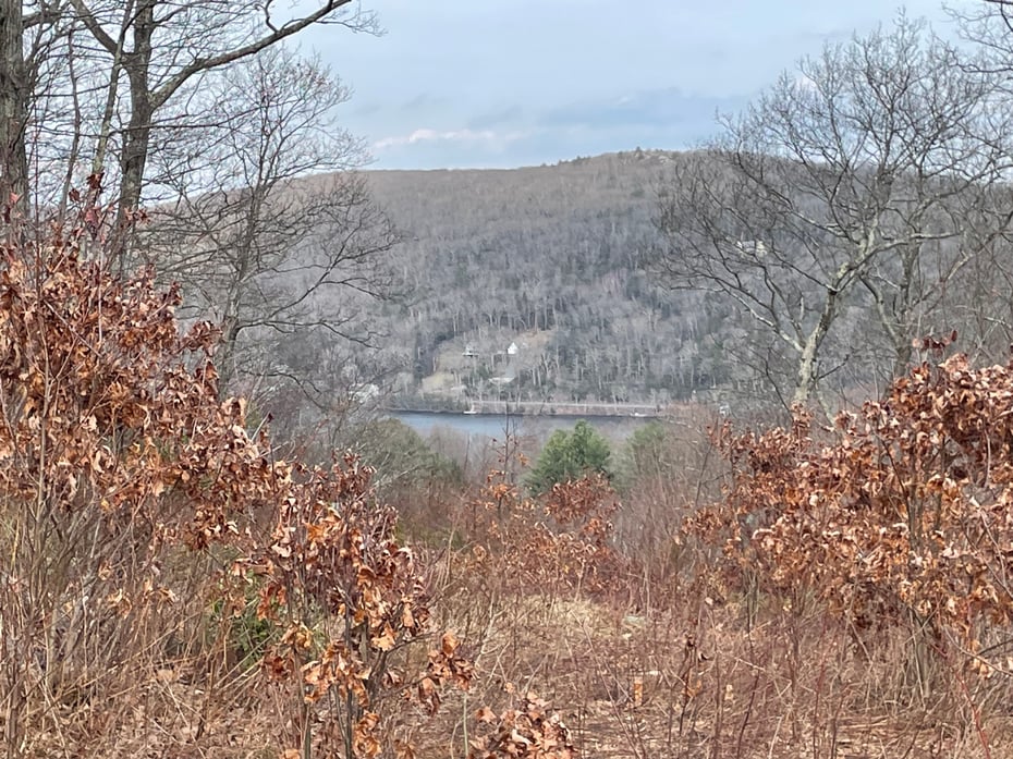 197 Tinker Hill Road Photo 18