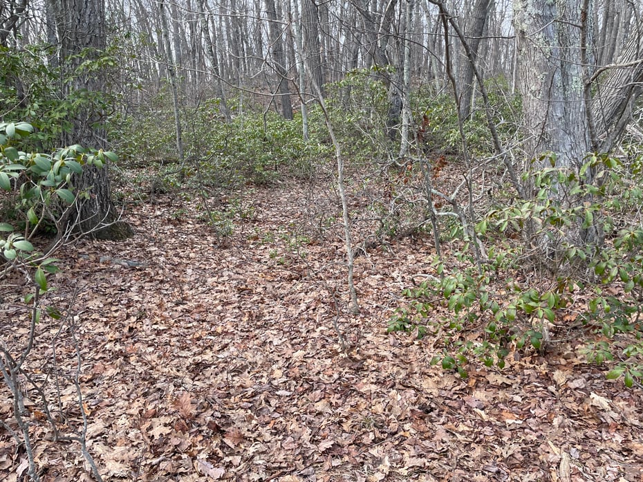 197 Tinker Hill Road Photo 20