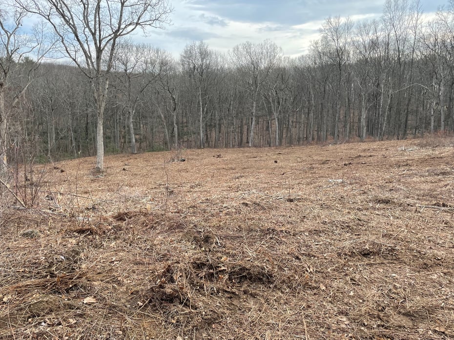 197 Tinker Hill Road Photo 23