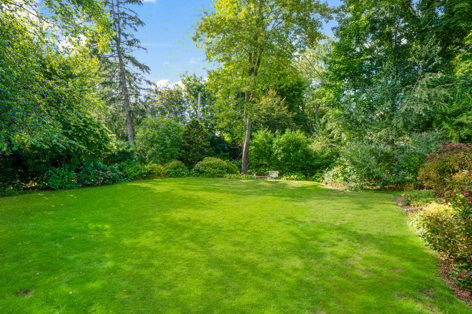 80 Forest Avenue Photo 41