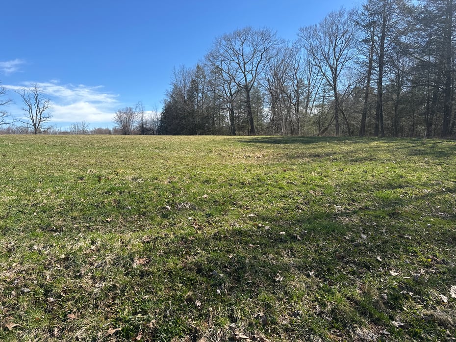 0 Newcomb Road Photo 6