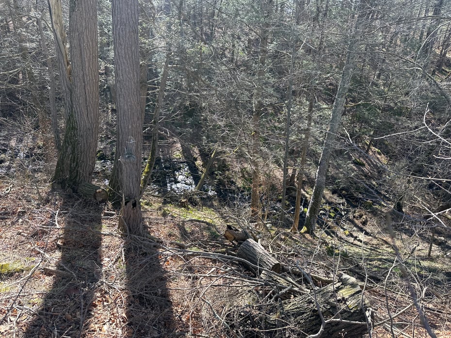 0 Newcomb Road Photo 8