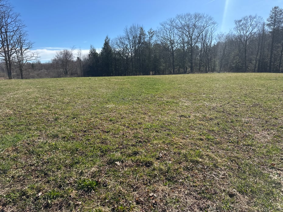 0 Newcomb Road Photo 9