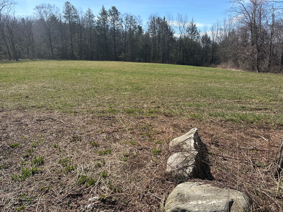 0 Newcomb Road Photo 10