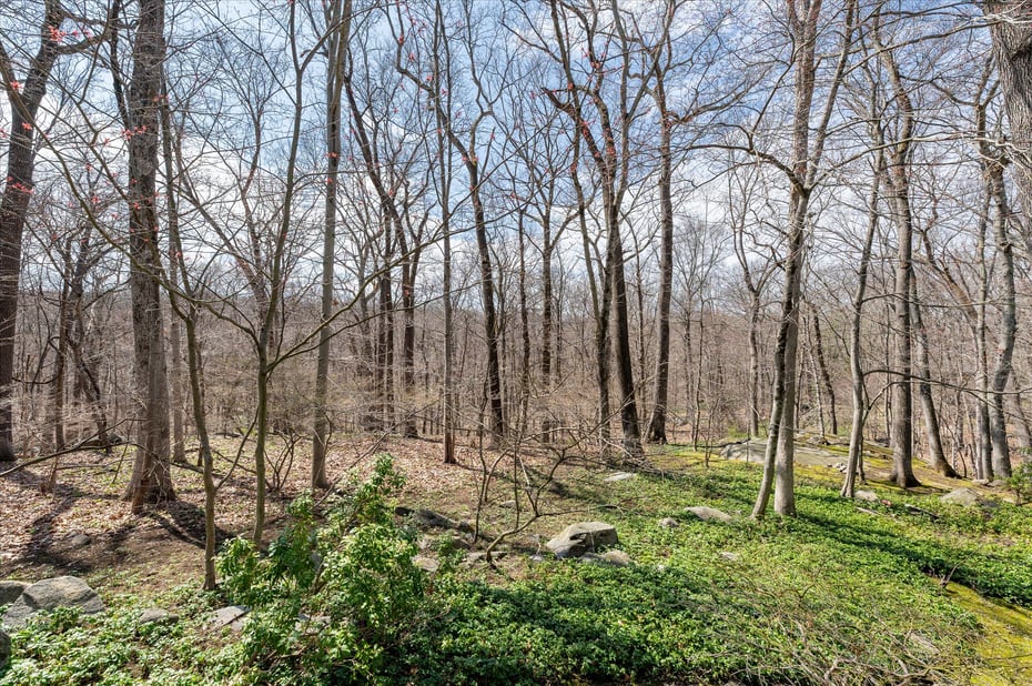 171 Highline Trail Photo 6