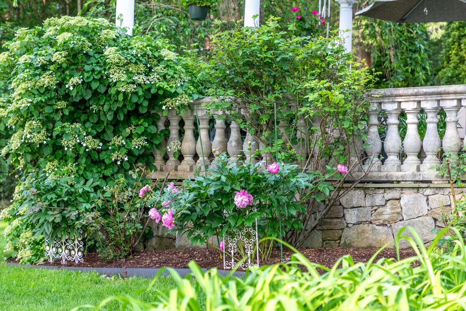 98 Island Trail Photo 8