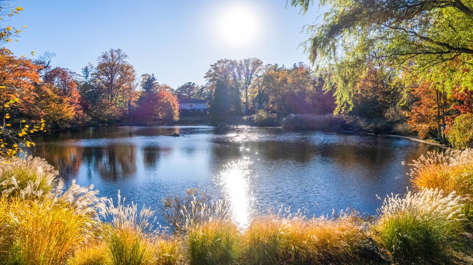 51 Whitetail Road Photo 2