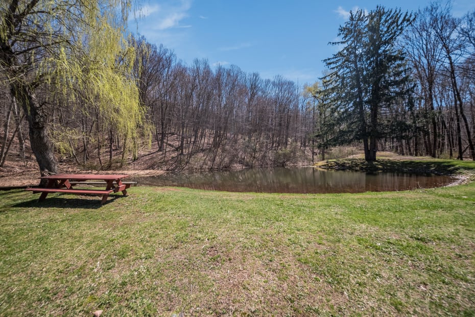 408-r Stage Coach Road Photo 34