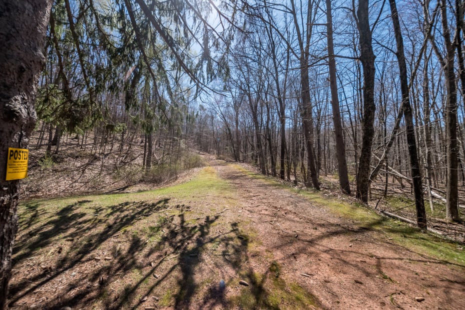 408-r Stage Coach Road Photo 36