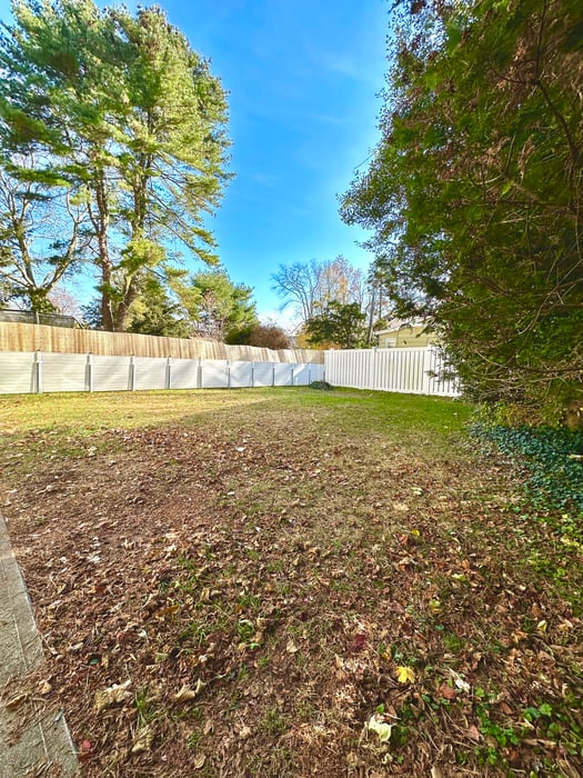 23 Beecher Place Photo 19