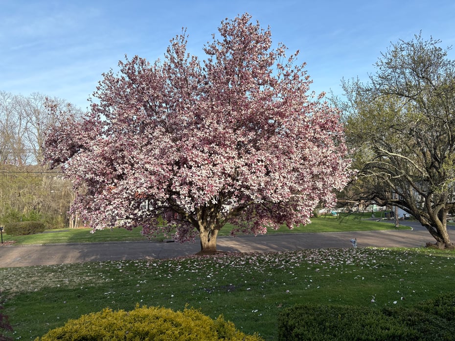 548 Howellton Road Photo 33