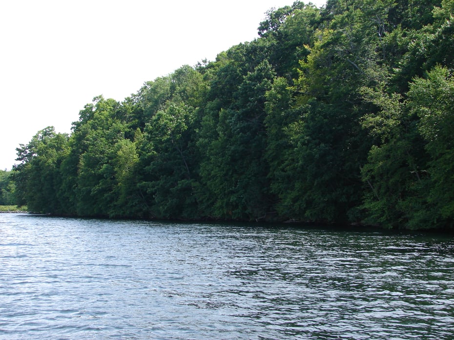 Lot 5 Milton Road Photo 10