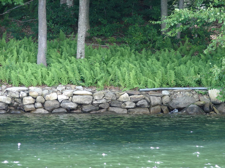 Lot 5 Milton Road Photo 11