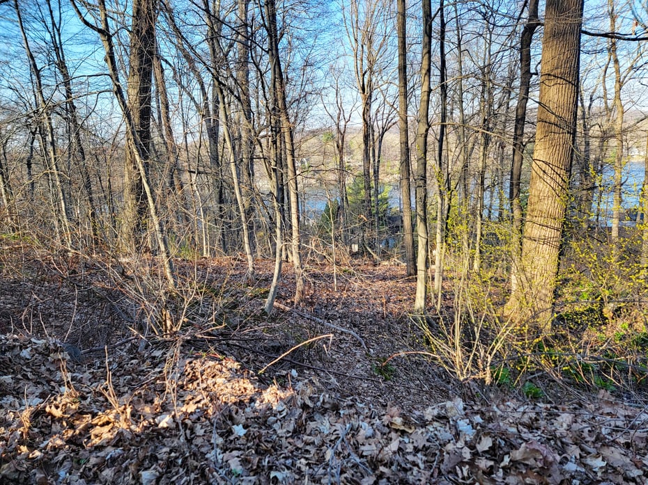 Parcel 8 Old Sib Road Photo 5