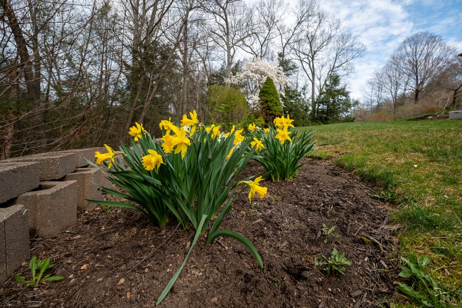 201 Grey Rock Road Photo 42