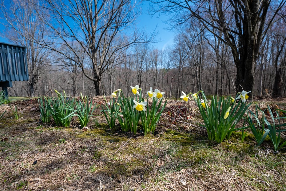 46 High Ridge Road Photo 36