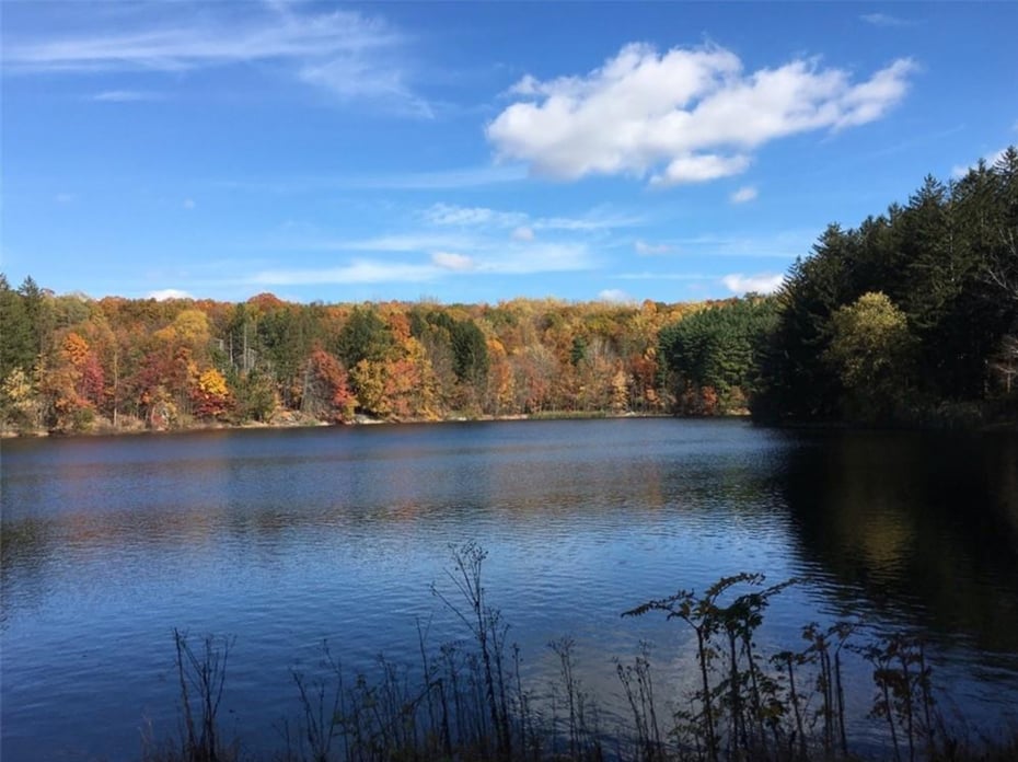 1 S Astor Street  #302 Photo 14