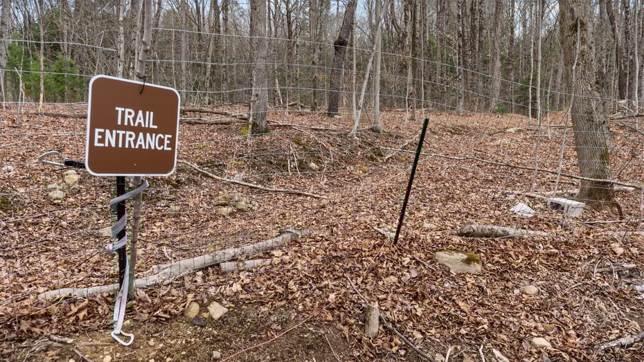 3186 Main St Photo 28