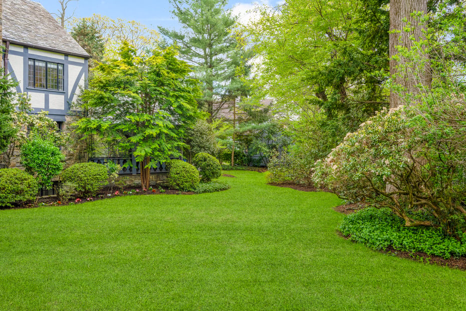 2 Vine Place Photo 43