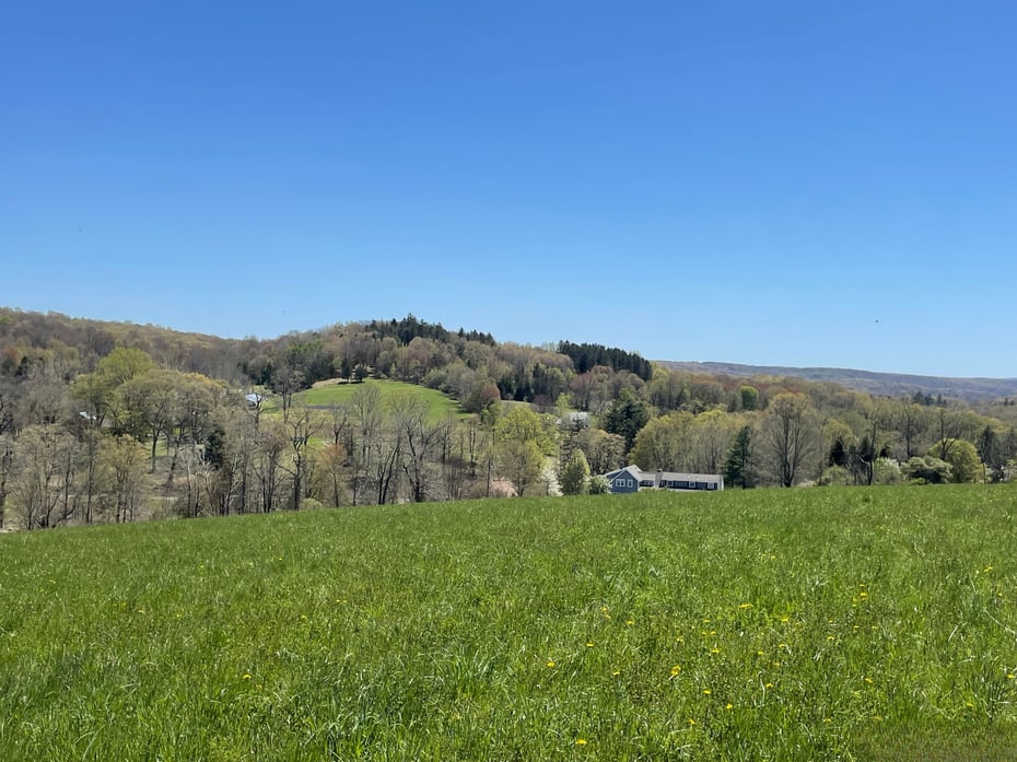 55 Ranney Hill Road Photo 2