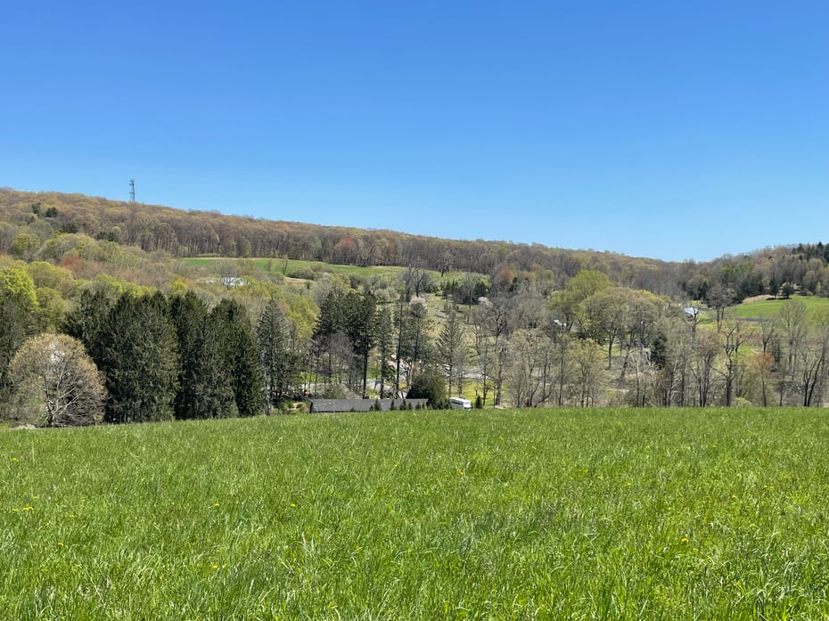 55 Ranney Hill Road Photo 3